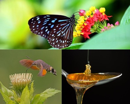 Self-made, which one is more likely to last? Ripping someone off vs settling for your worth Self-made, which one is more likely to last? Ripping someone off vs settling for your worth