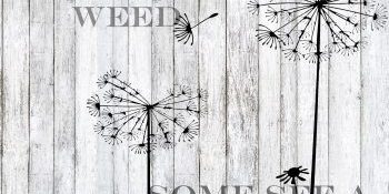 Ever wondered what is great content, exactly? Ever wondered what is great content, exactly?