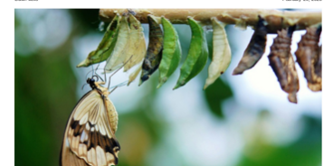 T. Dench Patel appears in Syp Studios